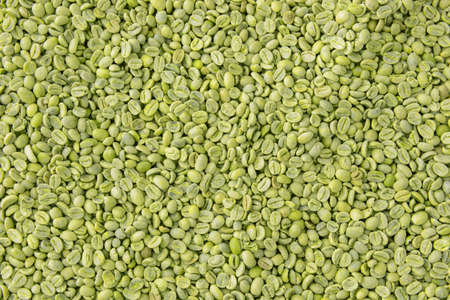 Green coffee beans as backgroundの写真素材