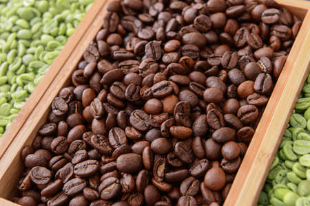 Trays with green and roasted coffee beans, closeupの写真素材