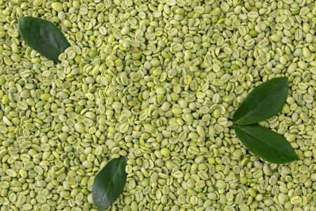 Green coffee beans as backgroundの写真素材