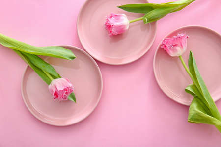 Clean plates and flowers on color backgroundの写真素材