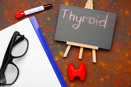 Chalkboard with text THYROID, notebook, eyeglasses and blood sample on color backgroundの写真素材