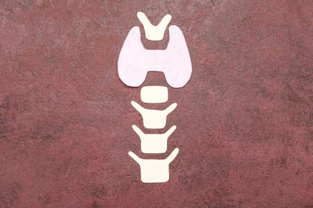 Shape of thyroid gland on color backgroundの写真素材