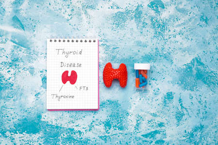Notebook with drawing of thyroid gland and pills on color backgroundの写真素材