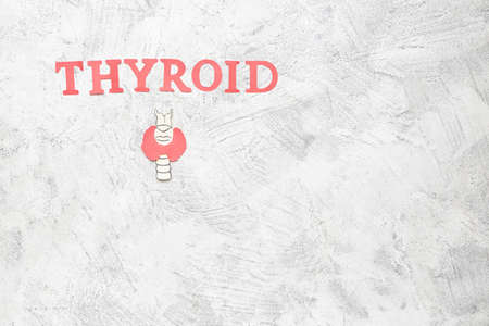 Word THYROID with drawing on white backgroundの写真素材
