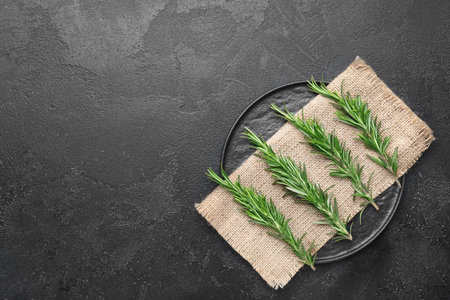 Fresh rosemary on dark backgroundの写真素材