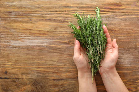 Female hands with rosemary on wooden backgroundの写真素材