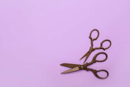 Scissors for paper on color backgroundの写真素材