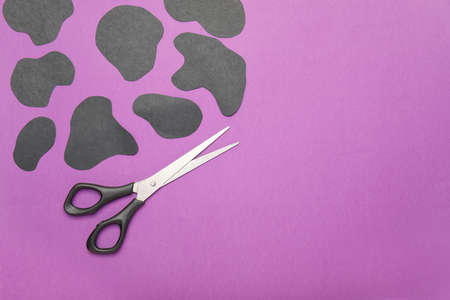Scissors for paper on color backgroundの写真素材