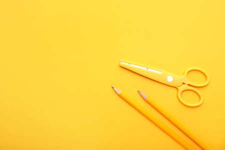 School supplies on color backgroundの写真素材