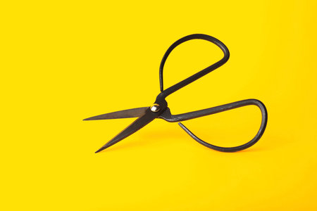 Scissors for paper on color backgroundの写真素材