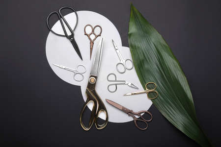 Scissors for paper on dark backgroundの写真素材