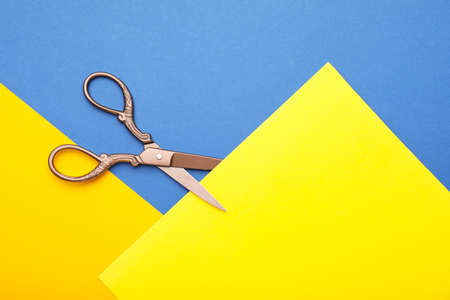Scissors for paper on color backgroundの写真素材