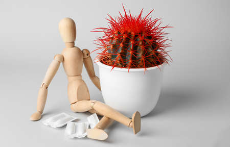 Wooden human figure, cactus and hemorrhoidal suppositories on light backgroundの写真素材