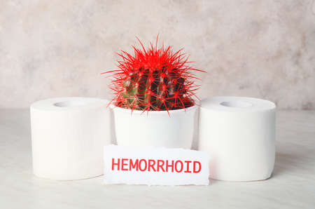 Toilet paper with cactus on light background. Hemorrhoids conceptの写真素材