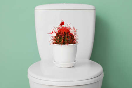 Toilet bowl with cactus on color background. Hemorrhoids concept