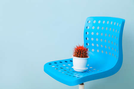 Chair with cactus on color background. Hemorrhoids conceptの写真素材