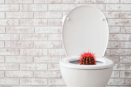 Toilet bowl with cactus near brick wall. Hemorrhoids conceptの写真素材