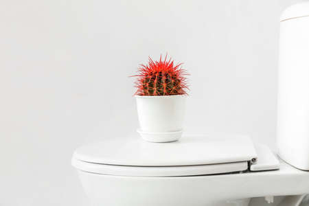 Toilet bowl with cactus on light background. Hemorrhoids conceptの写真素材