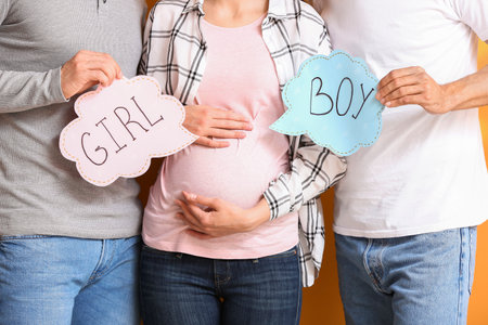 Gay couple and pregnant woman with written words GIRL an BOY, closeupの写真素材