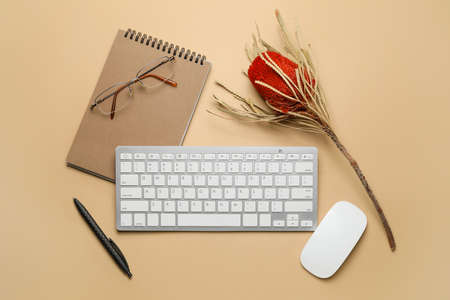 Computer keyboard with notebook, pen and eyeglasses on color background