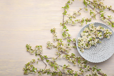 Beautiful blossoming branches on wooden backgroundの写真素材