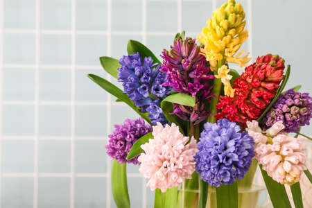 Vase with beautiful hyacinth flowers on gray backgroundの写真素材