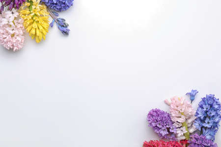 Beautiful hyacinth flowers on white backgroundの写真素材