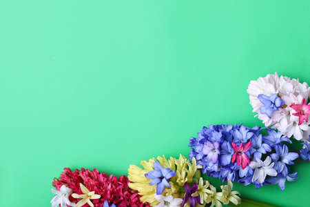 Beautiful hyacinth flowers on color backgroundの写真素材