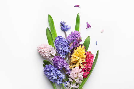 Beautiful hyacinth flowers on white backgroundの写真素材