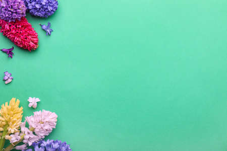 Beautiful hyacinth flowers on color backgroundの写真素材