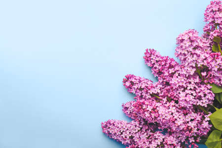 Beautiful lilac flowers on color backgroundの写真素材