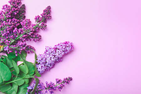 Beautiful lilac flowers on color backgroundの写真素材