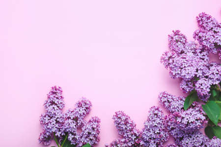 Beautiful lilac flowers on color backgroundの写真素材