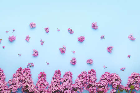 Beautiful lilac flowers on color backgroundの写真素材