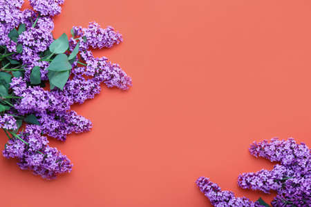 Beautiful lilac flowers on color backgroundの写真素材