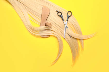 Long blonde hair, comb and scissors on color backgroundの写真素材