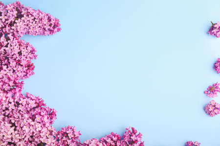 Beautiful lilac flowers on color backgroundの写真素材