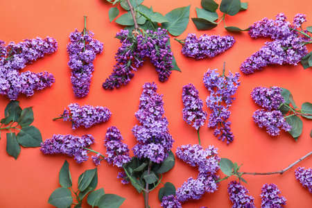 Beautiful lilac flowers on color backgroundの写真素材