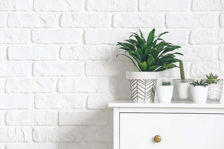 Green houseplants on chest of drawers near white brick wall
