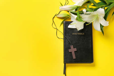 Holy Bible, cross and flowers on color background