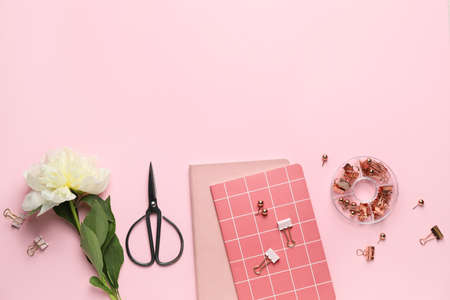 School supplies with flower on color backgroundの写真素材