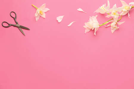 Scissors with flowers on color backgroundの写真素材