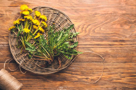 Composition with beautiful dandelions on wooden backgroundの写真素材