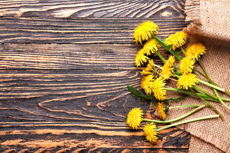 Beautiful dandelions on wooden backgroundの写真素材
