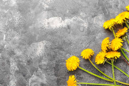 Beautiful dandelions on grunge backgroundの写真素材