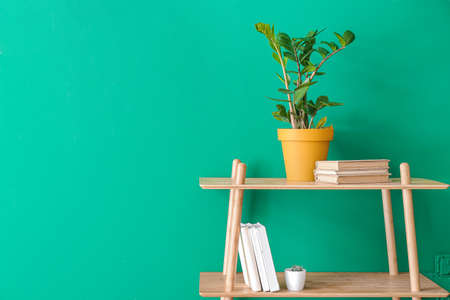 Modern shelf unit near color wallの写真素材