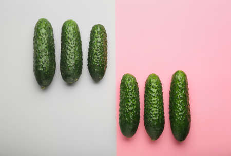 Fresh green cucumbers on color backgroundの写真素材