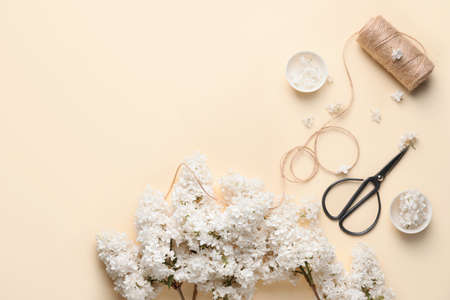 Composition with beautiful lilac flowers on color backgroundの写真素材