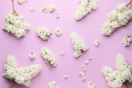 Composition with beautiful lilac flowers on color backgroundの写真素材