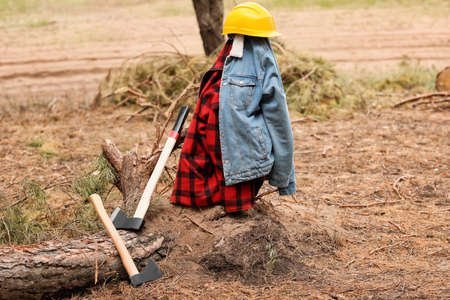 Axes and uniform of lumberjack in forestの写真素材